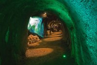 Im Meer - Unterirdisch geht es zur Iberger Tropfsteinhöhle des HöhlenErlebnisZentrums im Harz